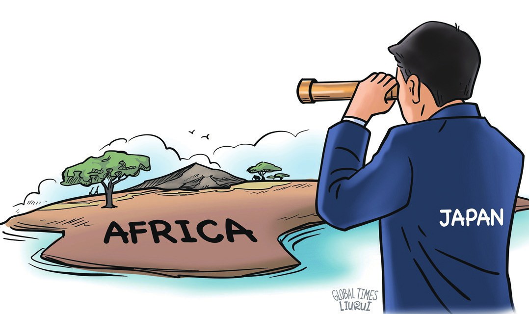“Afrika’da faaliyet gösteren yabancı güçler arasında Japonya, ham maddelerinin neredeyse %100'ünü ithal eden ve sürekli büyüyen sanayisinin çok ihtiyaç duyduğu kritik mineral yatakları veya enerji rezervlerini aramak zorunda kalmaya mahkum olan tek ülkedir” (Çizim: Global Times, 2025).