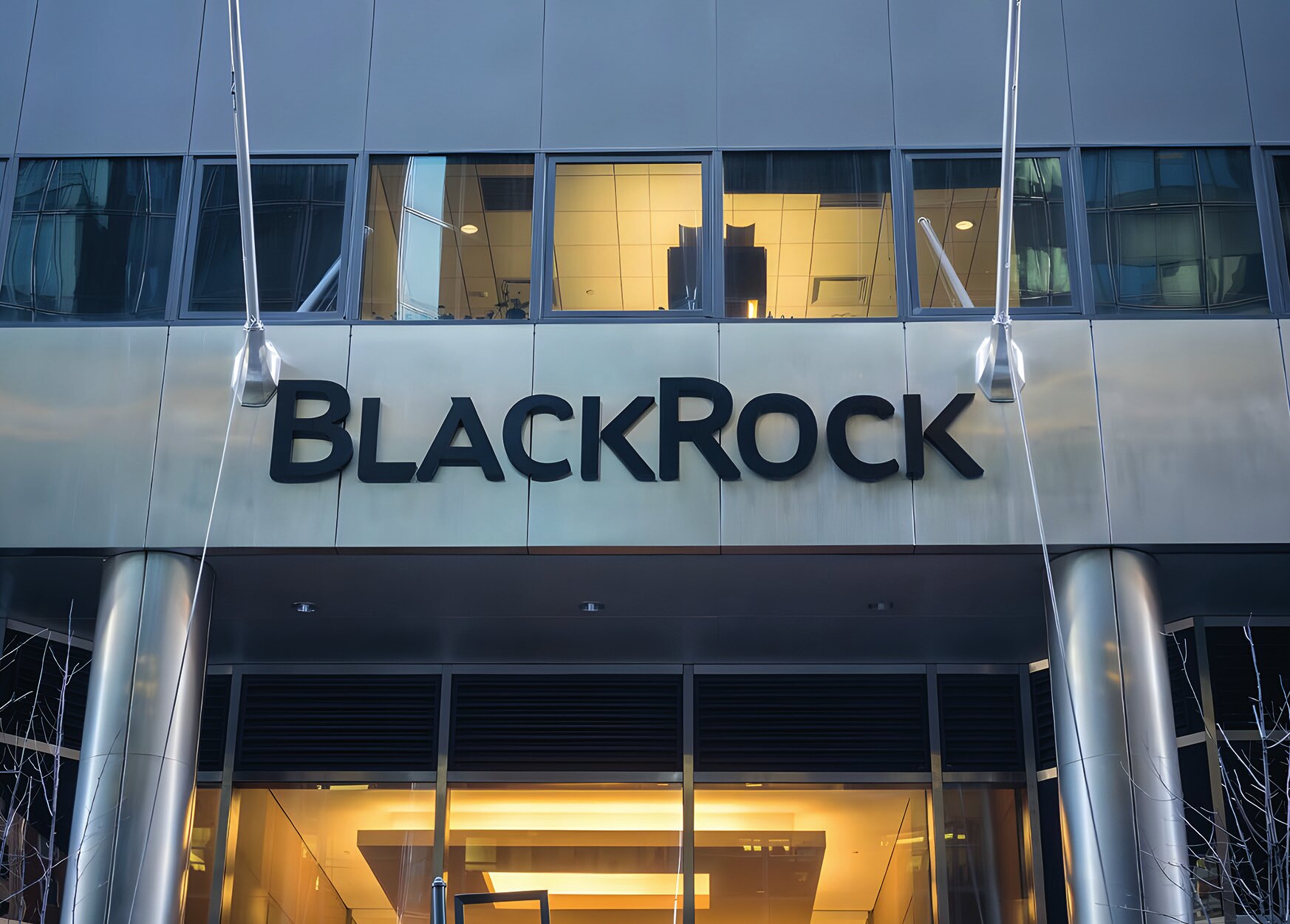 “Gölge bankalar, BlackRock & Co. ve yeni tekeller gerçekten düzenlenmeli, ayrıştırılmalı, kamulaştırılmalı ve ortak mülkiyete devredilmelidir” (Fotoğraf: China Daily, 2021).