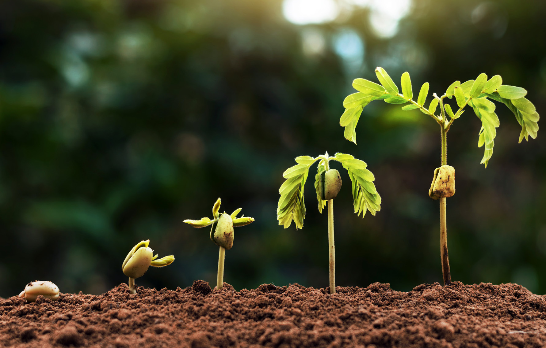 “It is necessary to reiterate and emphasize that traditional agricultural and livestock practices are no longer sustainable under the adverse environmental conditions caused by climate change” (Photo: MIT CEEPR, 2019).