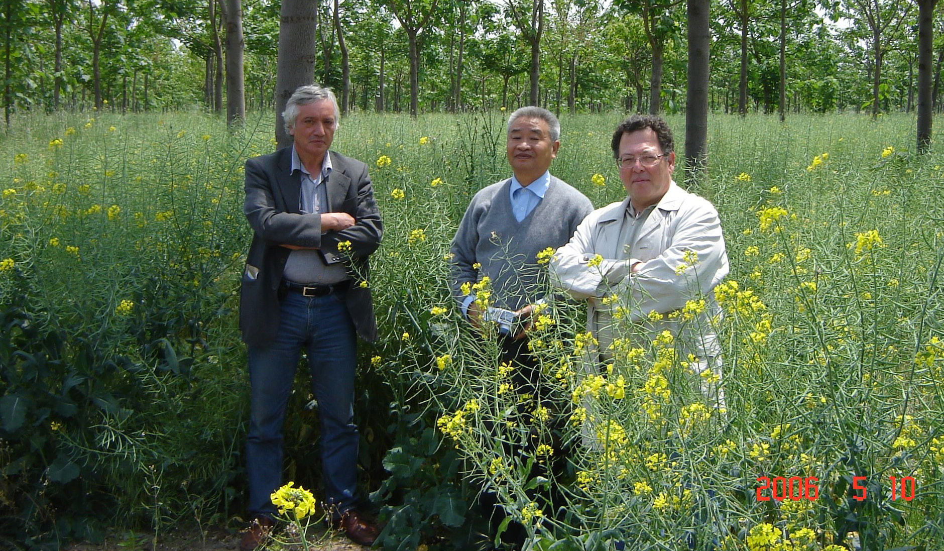 Paulownia - Kanola Ara Ziraatı Deneyi, 2006 yılında Bergama-İzmir'de gerçekleştirildi ve kanola yağından biyodizel üretmeyi amaçlıyor. Soldan sağa: Salih Ertan, Prof. Xhu Zhaohua, İbrahim Yavaşça (çiftlik sahibi).
