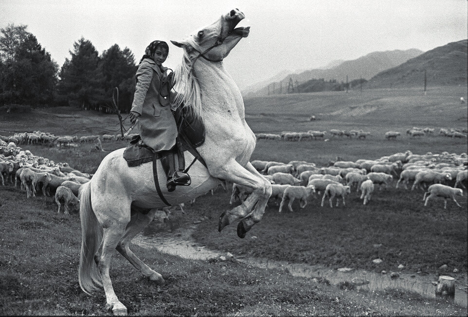 Koyun Güden Çingene Kız, Dağlık Altay Özerk Bölgesi, 30 Temmuz 1980.